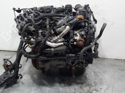 Motor FORD FIESTA VI (CB1, CCN)  | BP30204450M1 