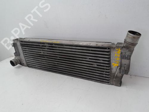 Intercooler RENAULT MEGANE II Saloon (LM0/1_) 1.9 dCi (LM0G, LM1G, LM2C) | BP29634814M30 