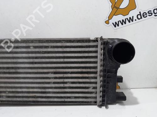 Intercooler MERCEDES-BENZ VITO Van (W447) 114 CDI (447.601, 447.603, 447.605) | BP21828934M30 