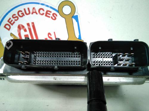 Engine control unit (ECU) SEAT CORDOBA (6L2) 1.9 TDI | BP20792981M57 