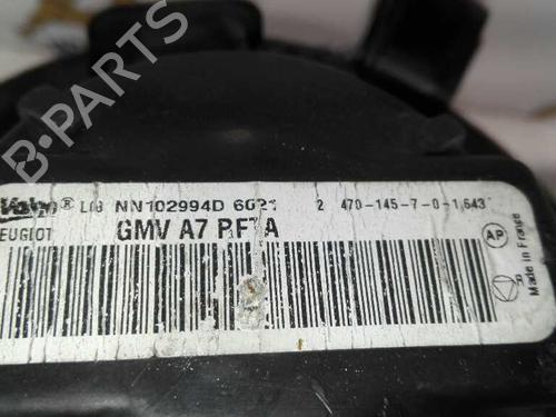 Heater blower motor PEUGEOT 207 (WA_, WC_) 1.6 HDi | BP20780056M62 