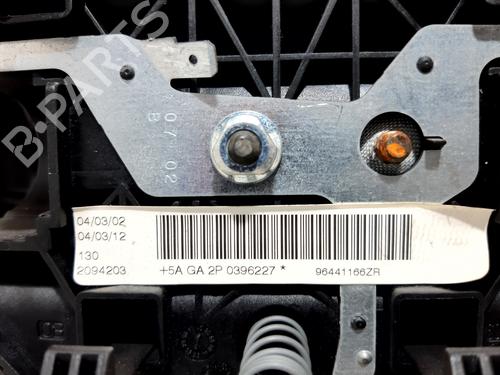Driver airbag PEUGEOT 206 Hatchback (2A/C) 1.6 16V | BP20741378C9 
