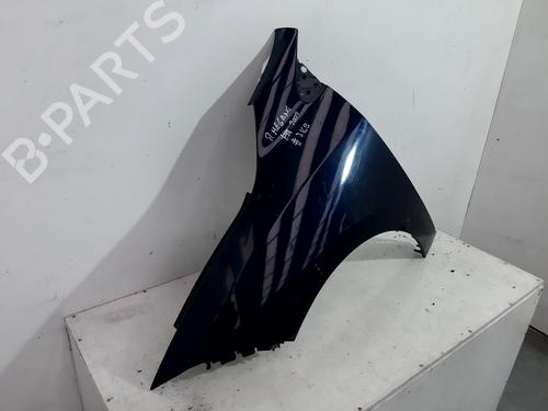 Left front fenders RENAULT MEGANE III Hatchback (BZ0/1_, B3_) 1.5 dCi | BP21589447C41 