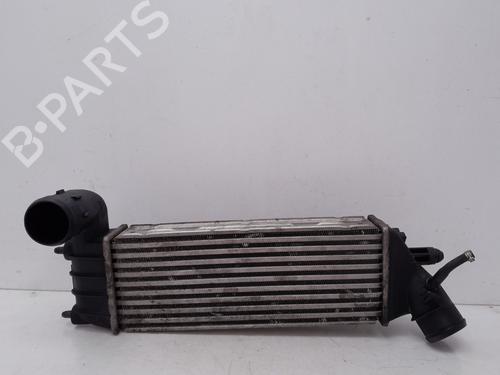 Intercooler CITROËN C8 (EA_, EB_) 2.2 HDi | BP24571928M30 