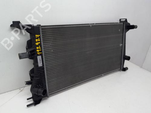 Water radiator RENAULT MEGANE III Grandtour (KZ0/1)  | BP29573335M31 