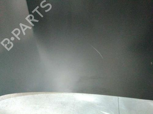 Hood NISSAN QASHQAI I (J10, NJ10)  | BP21043664C1 