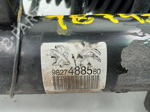 Right front shock absorber CITROËN C3 III (SX)  | BP26711199M17 
