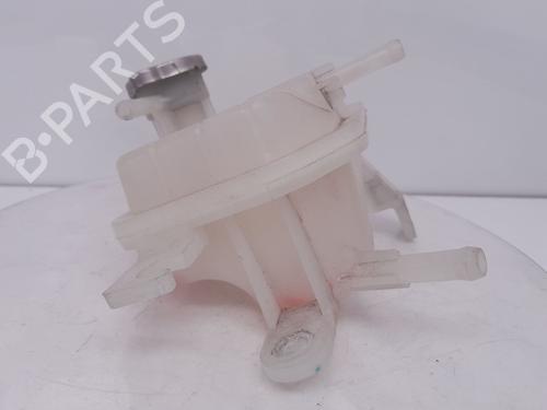 Vaso de expansão DACIA SPRING | BP31096210C120