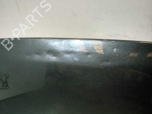 Hood CITROËN BERLINGO Box Body/MPV (B9) 1.6 HDi 90 4x4 | BP20731548C1