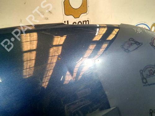 Hood PEUGEOT 807 (EB_)  | BP20731307C1
