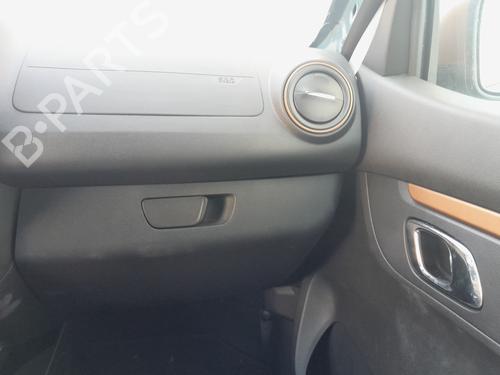 Hanskerom DACIA SPRING  | BP29534013C95 