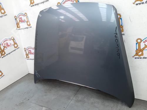 Hood VW TOUAREG (7LA, 7L6, 7L7) 3.0 V6 TDI | BP20795228C1 