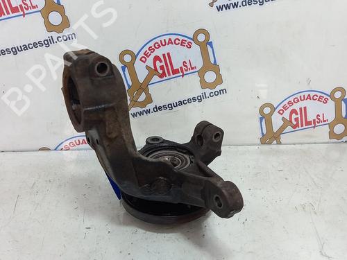 Left front steering knuckle PEUGEOT 206 Hatchback (2A/C) 1.9 D | BP20767521M25 