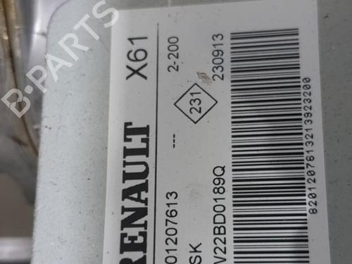 Steering column RENAULT KANGOO / GRAND KANGOO II (KW0/1_) 1.5 dCi 90 (KW05, KW08, KW0G, KW11) | BP24319148M21 