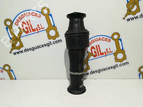 Right rear shock absorber CITROËN C4 Picasso I MPV (UD_) 2.0 HDi 138 | BP20802368M19 