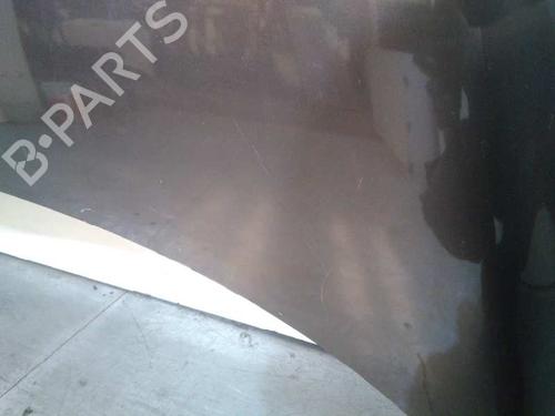 Hood RENAULT SCÉNIC III (JZ0/1_)  | BP20728661C1 