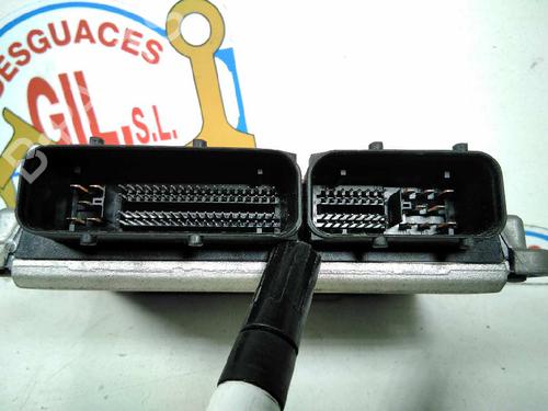 Engine control unit (ECU) SEAT IBIZA III (6L1)  | BP20793324M57 