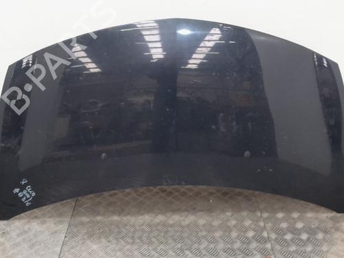 Panser RENAULT CLIO III (BR0/1, CR0/1) [2005-2014]  24649870