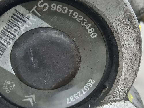 Steering pump CITROËN XSARA (N1) 1.9 D | BP20747454M99 