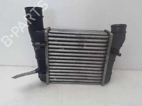 Used Intercooler AUDI A4 B6 (8E2) 1.9 TDI (130 hp) 31066553