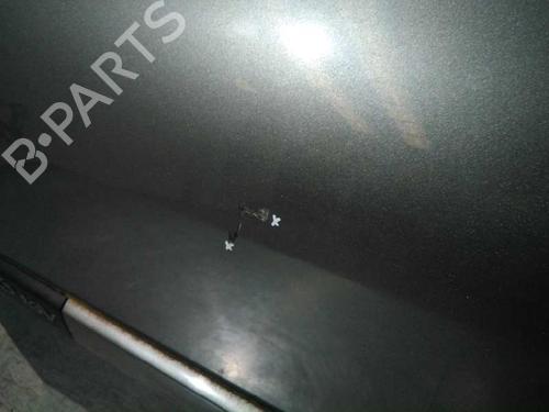 Left front door RENAULT MEGANE II (BM0/1_, CM0/1_) 1.6 16V | BP20809320C2 