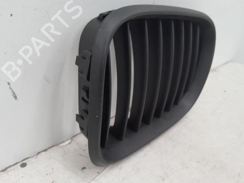 Grill BMW X5 (E53) 3.0 d | BP31072305C40