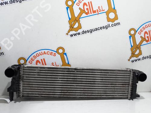 Used Intercooler MERCEDES-BENZ VITO Van (W447) 114 CDI (447.601, 447.603, 447.605) (136 hp) 21828934