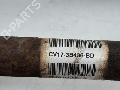 Right front driveshaft FORD B-MAX (JK) 1.0 EcoBoost | BP34134751M39  - Image 5