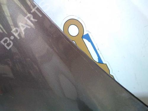 Hood RENAULT SCÉNIC III (JZ0/1_)  | BP20728661C1 