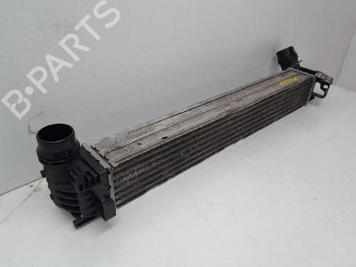 Intercooler RENAULT MEGANE III Hatchback (BZ0/1_, B3_) 1.5 dCi | BP29634802M30 