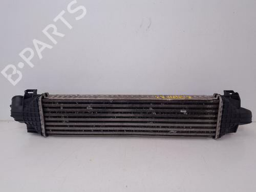 Intercooler FORD FOCUS II (DA_, HCP, DP)  | BP30697730M30 