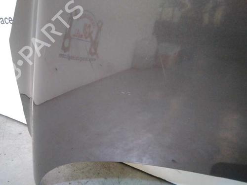 Hood RENAULT SCÉNIC III (JZ0/1_)  | BP20728661C1 