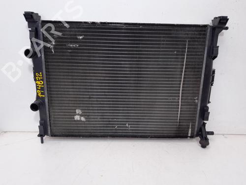 Wasserkühler für RENAULT SCÉNIC II (JM0/1_) 1.9 dCi (JM0G, JM12, JM1G, JM2C) (120 hp) 30697715