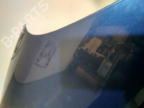 Hood PEUGEOT 807 (EB_)  | BP20731307C1