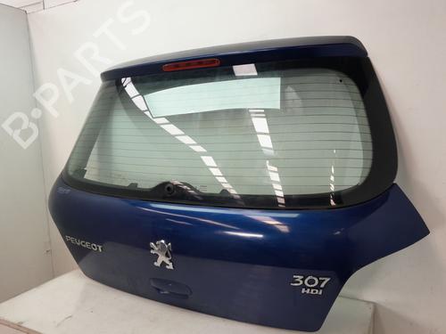 Tailgate PEUGEOT 307 (3A/C) 2.0 HDi 90 | BP26588732C6 