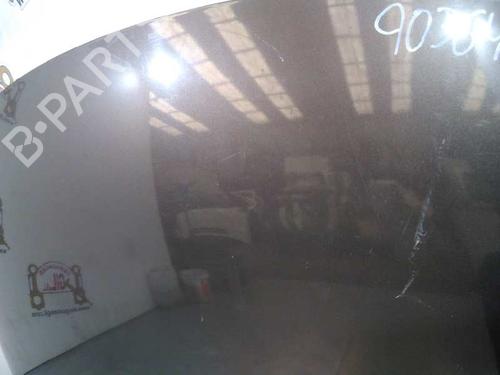 Hood RENAULT SCÉNIC III (JZ0/1_)  | BP20728661C1 