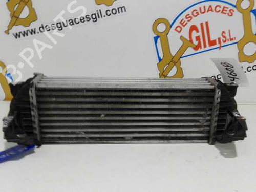 Intercooler FORD TOURNEO CONNECT 1.8 TDCi | BP20776334M30 