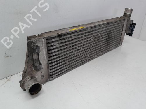 Intercooler RENAULT MEGANE II Saloon (LM0/1_)  | BP29634811M30 