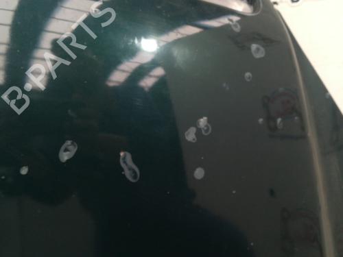 Hood MERCEDES-BENZ A-CLASS (W169) A 160 CDI (169.006, 169.306) | BP20759032C1