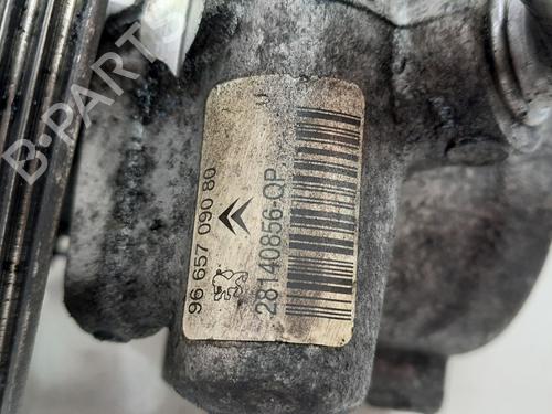 Steering pump CITROËN XSARA PICASSO (N68) 1.6 HDi | BP29735884M99