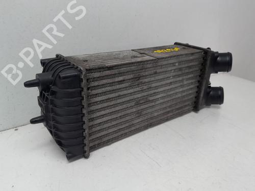 Intercooler CITROËN XSARA PICASSO (N68) 1.6 HDi | BP29634801M30 