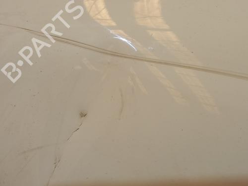 Hood FIAT FIORINO Box Body/MPV (225_) 1.3 D Multijet (225BXD1A, 225BXB1A, 225BXB11) | BP20745200C1 