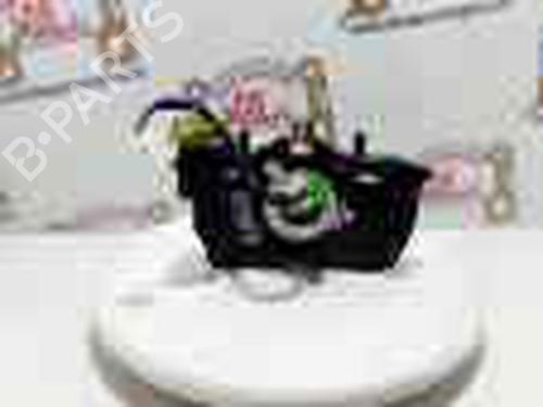 Electronic module RENAULT SCÉNIC III (JZ0/1_)  | BP20732446M83 