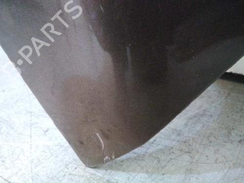 Hood RENAULT SCÉNIC III (JZ0/1_)  | BP20728661C1 