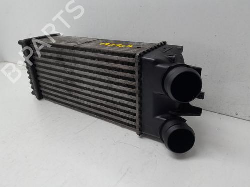 Intercooler CITROËN XSARA PICASSO (N68) 1.6 HDi | BP29634801M30 