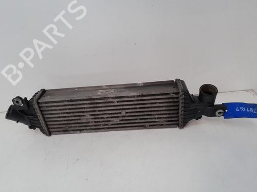 Intercooler NISSAN PRIMERA Hatchback (P12) 1.9 dCi | BP27513207M30 