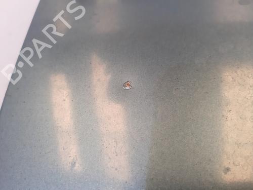 Tailgate JAGUAR S-TYPE II (X200) 3.0 V6 | BP20745012C6 