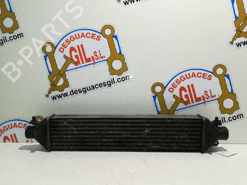 Intercooler FIAT BRAVO II (198_) 1.6 D Multijet (198AXL1B) | BP20784886M30 