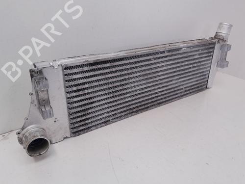 Intercooler RENAULT MEGANE II Saloon (LM0/1_)  | BP29636273M30 