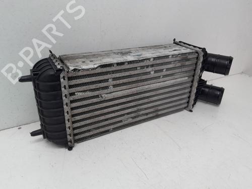 Intercooler PEUGEOT 208 I (CA_, CC_) 1.6 BlueHDi 100 | BP29634805M30